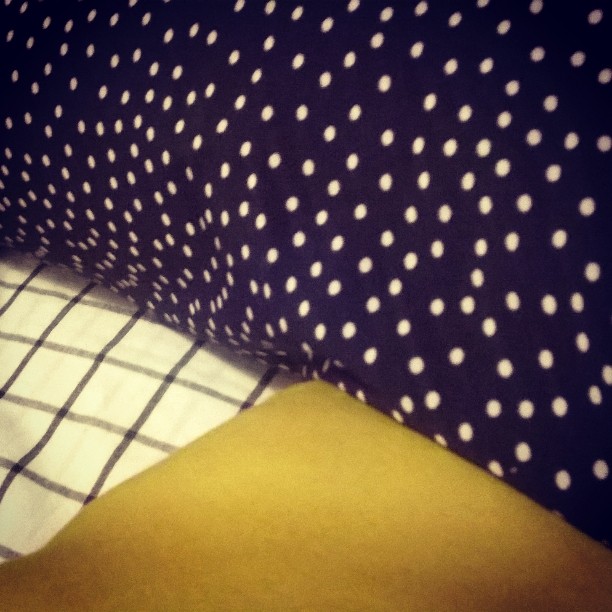 14712031_777322699075071_8454154500926603264_n