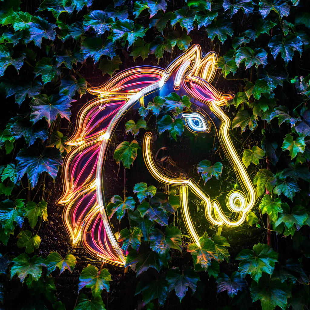 Light Illustration_Eva ME
